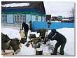 Волонтеры из Красного Яра помогли пенсионерке расколоть дрова
